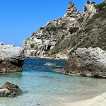 Akoya